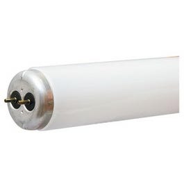 Fluorescent Tube, T12, Cool White, 1800 Lumens, 40-Watt, 48-In.