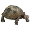 Toy Figure, Turtle, Ages 3 & Up