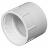 Charlotte Pipe 1-1/2-in Dia PVC Adapter Fitting (1-1/2)