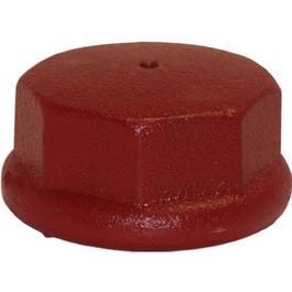 Well Point Drive Cap, Cast Iron, 1.25-In.