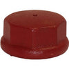 Well Point Drive Cap, Cast Iron, 2-In.