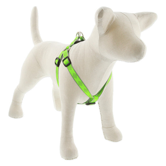 Lupine Pet Reflective Step In Dog Harness (3/4