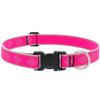 Lupine Pet Reflective Dog Collar