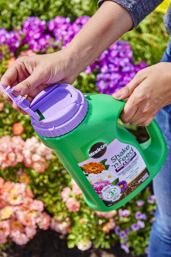 Miracle-Gro® Shake 'n Feed® Rose & Bloom Plant Food (4.5 lbs)