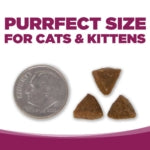 NutriSource® Cat & Kitten Chicken & Rice Recipe