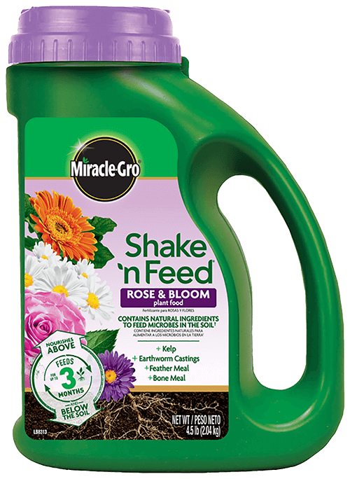 Miracle-Gro® Shake 'n Feed® Rose & Bloom Plant Food (4.5 lbs)