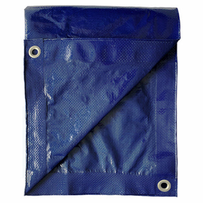 TruGuard Storage Tarp Cover Blue Polyethylene (20 x 30-Ft., Blue)