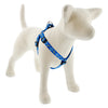 Lupine Pet Original Designs Dog Collar