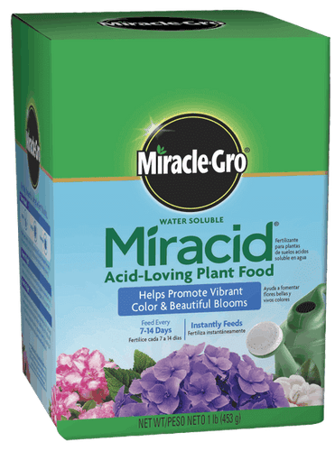 Miracle-Gro® Water Soluble Miracid® Acid-Loving Plant Food (1 lbs)